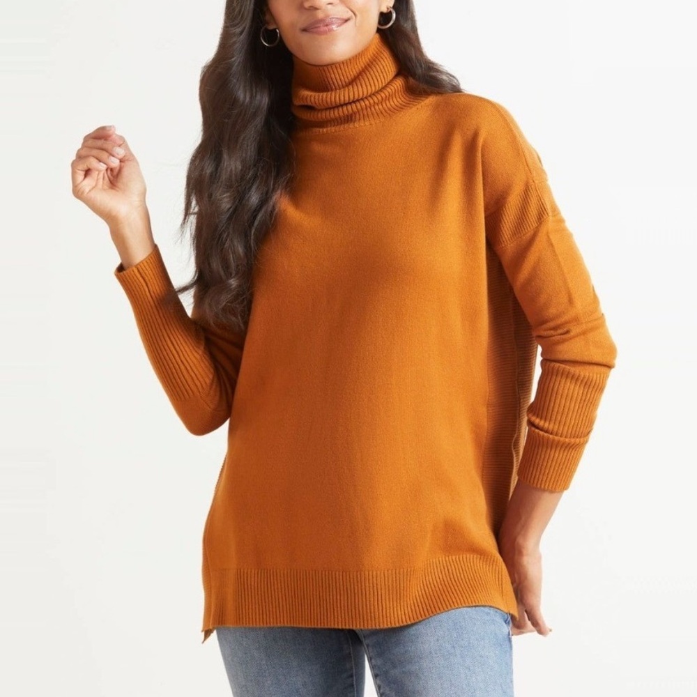 Evereve French Connection Tunic Turtleneck Sweater